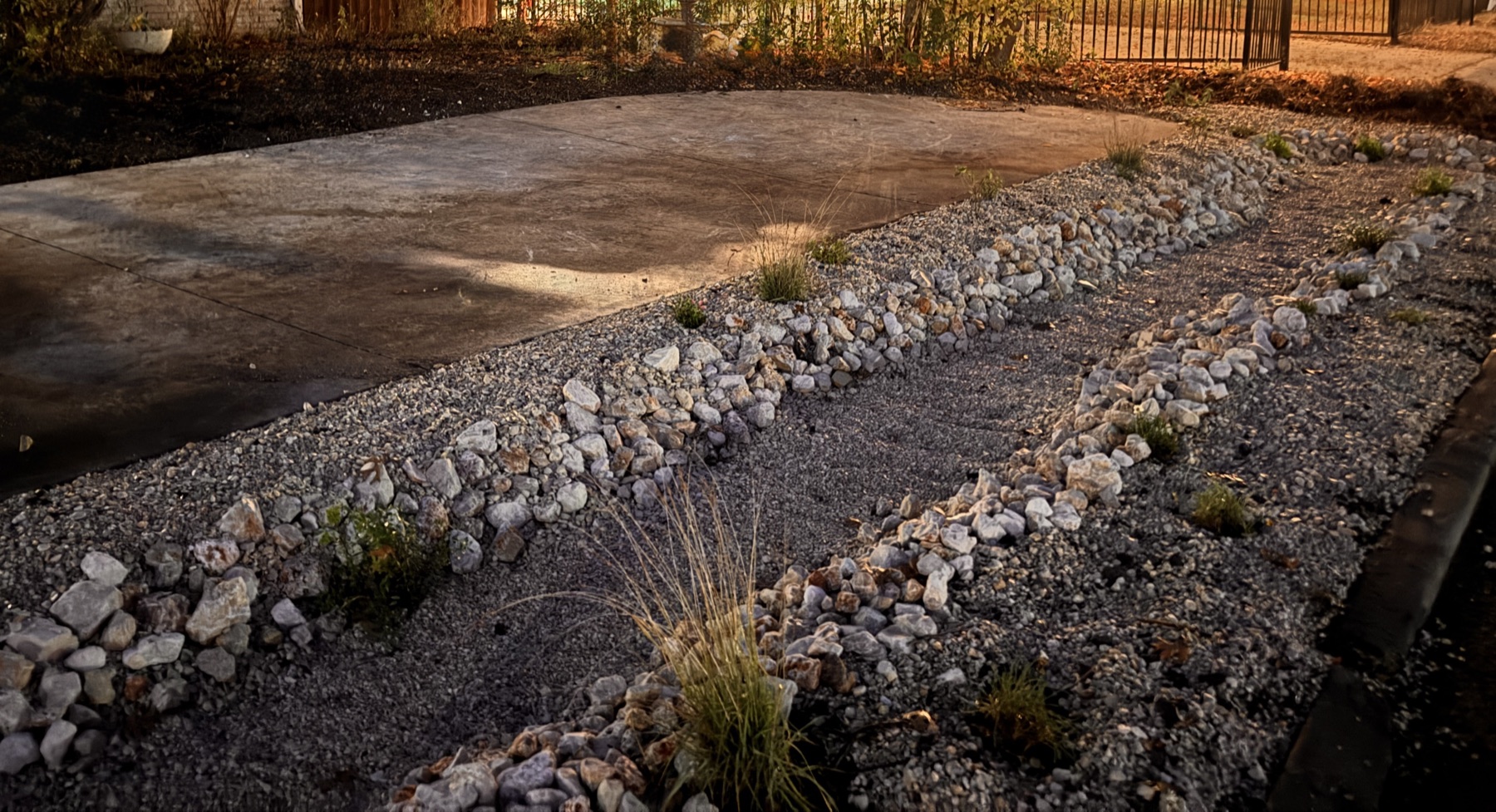 Alamo Heights bioswale install — curbside dry-river-bed with limestone armor, native grass plugs, gravel base.