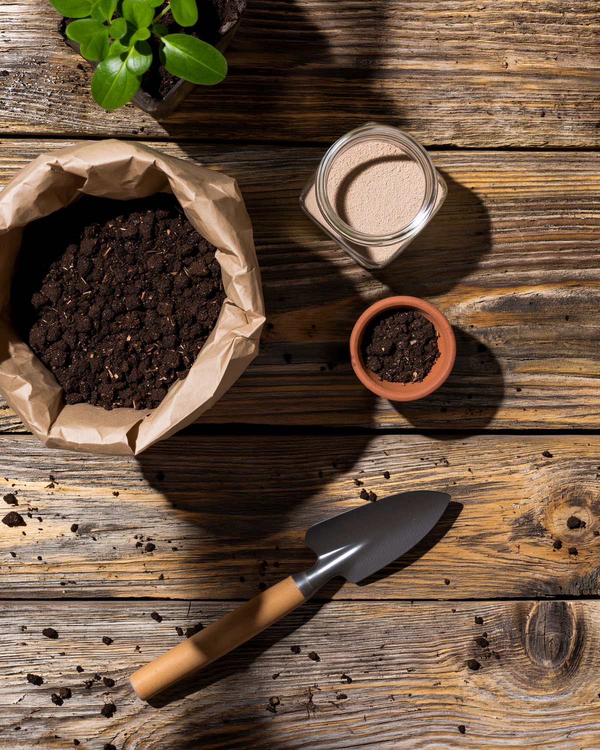 Worm castings, a jar of inoculant and a seedling on a potting bench