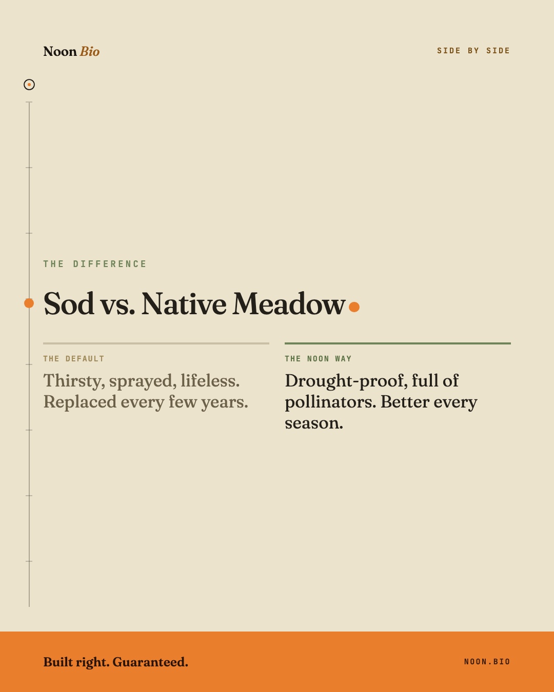 Sod vs. Native Meadow