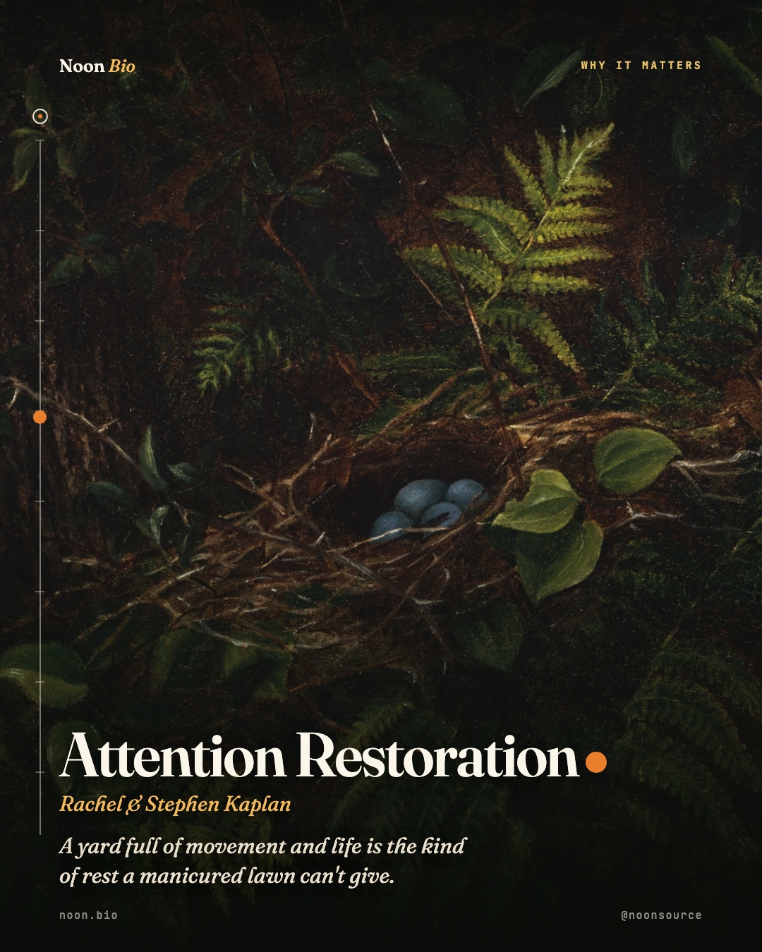 Attention Restoration