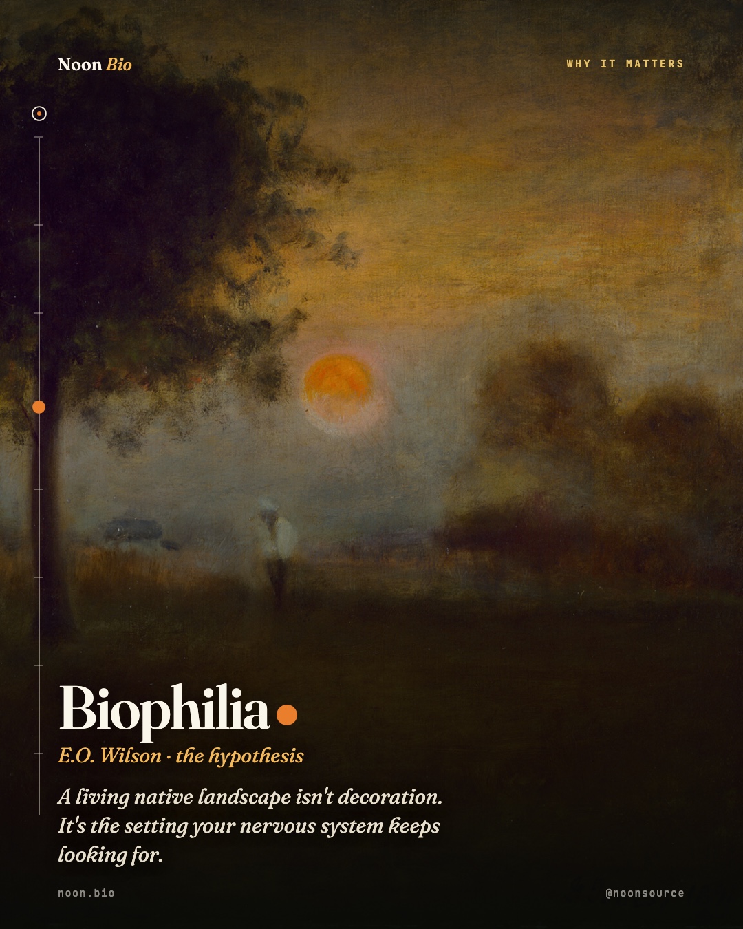 Biophilia