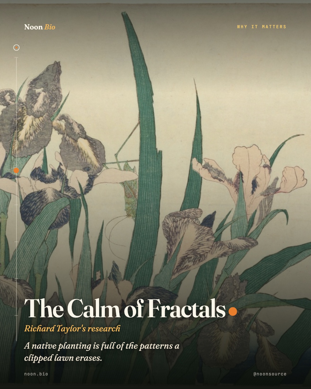The Calm of Fractals