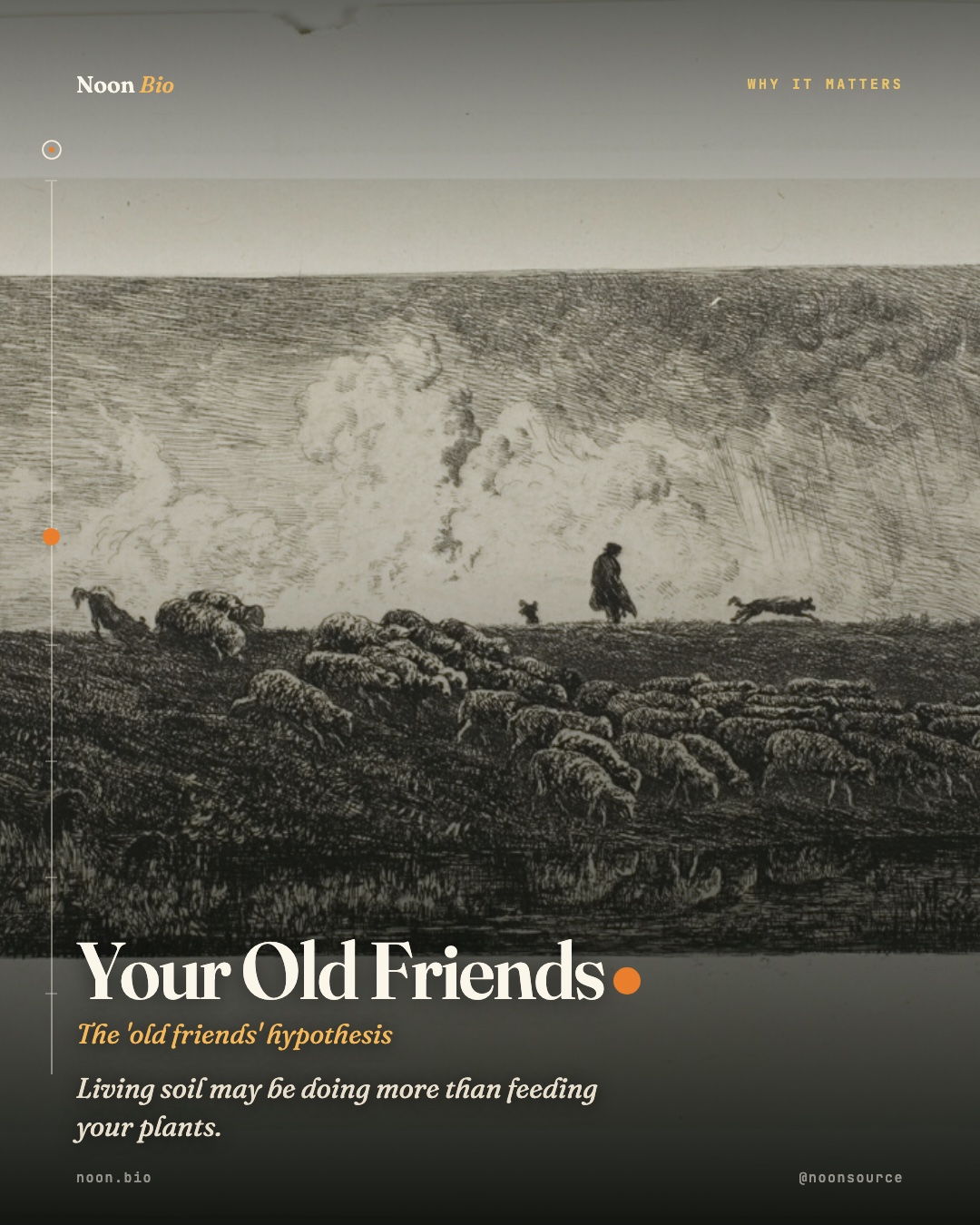 Your Old Friends