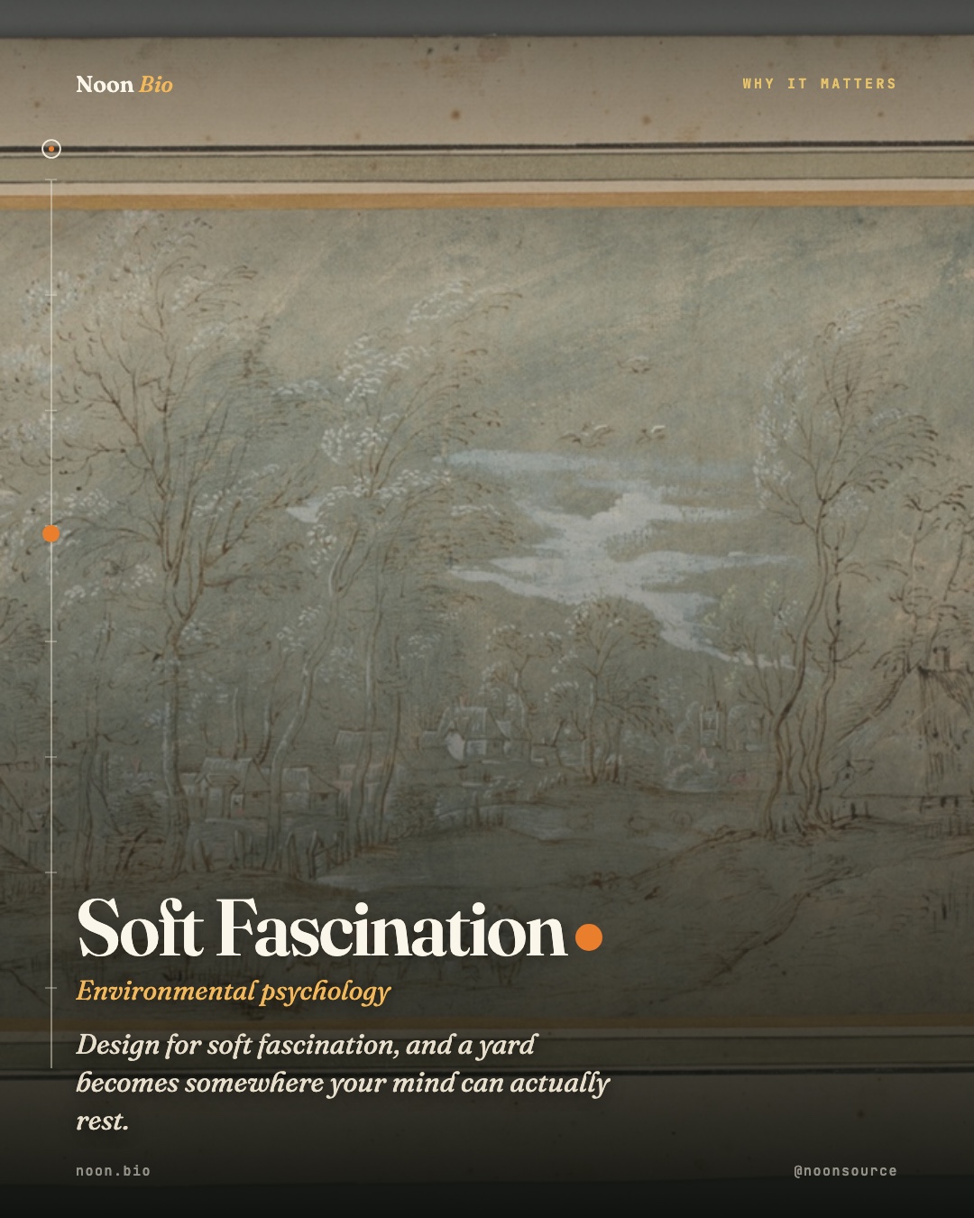 Soft Fascination