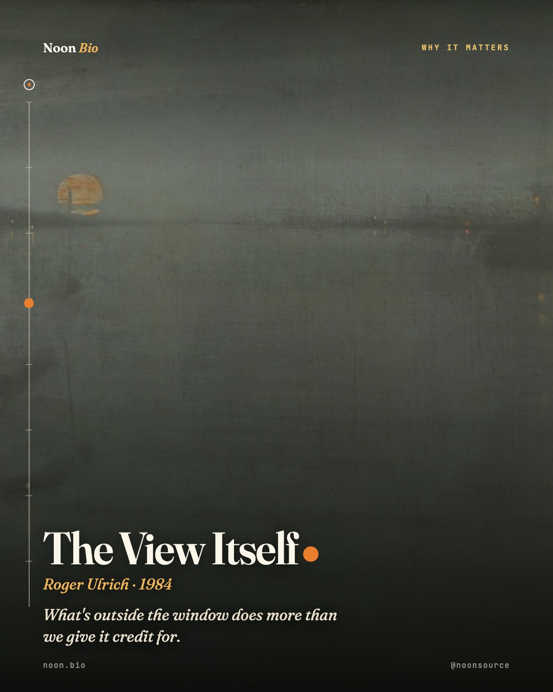 The View Itself