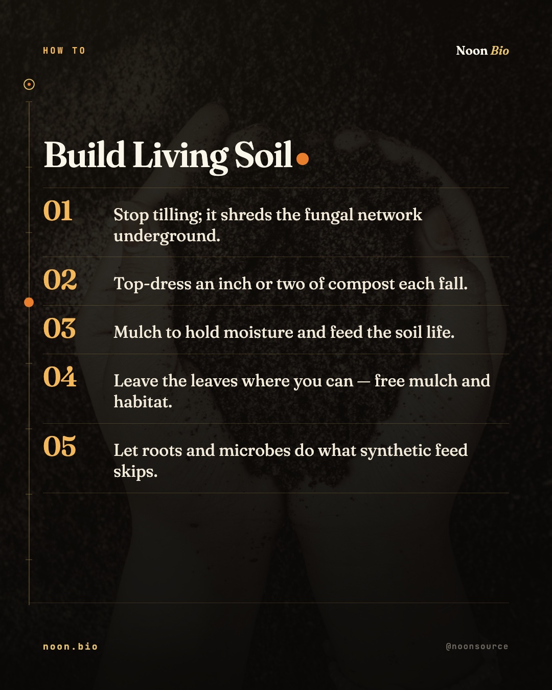 Build Living Soil