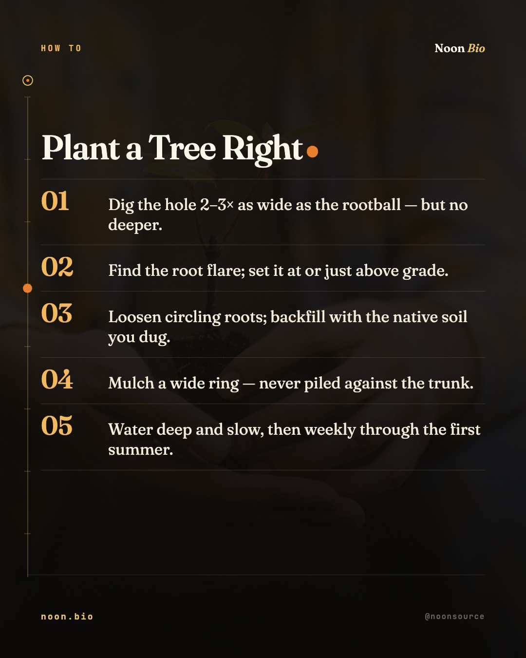 Plant a Tree Right