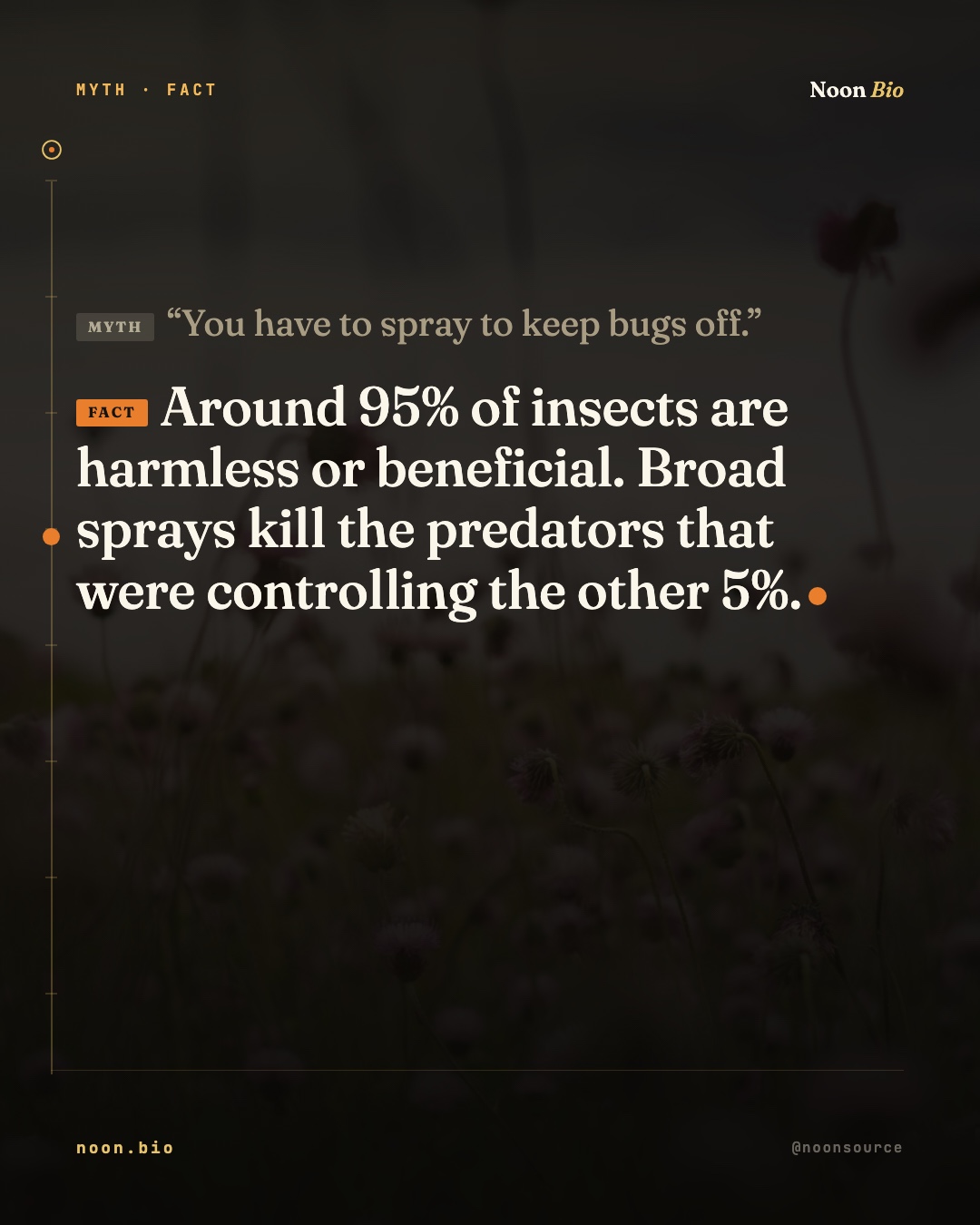 You have to spray to keep bugs off.