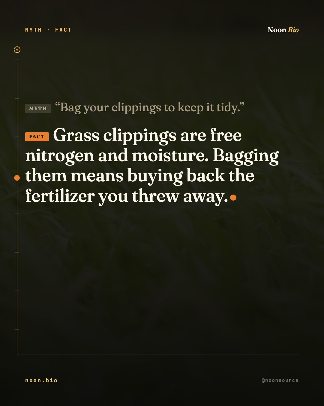 Bag your clippings to keep it tidy.