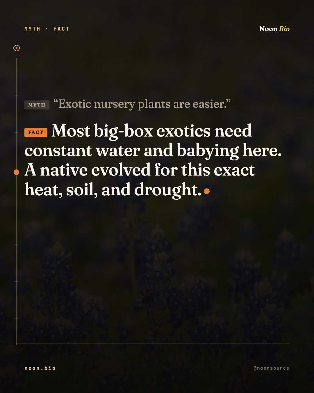 Exotic nursery plants are easier.