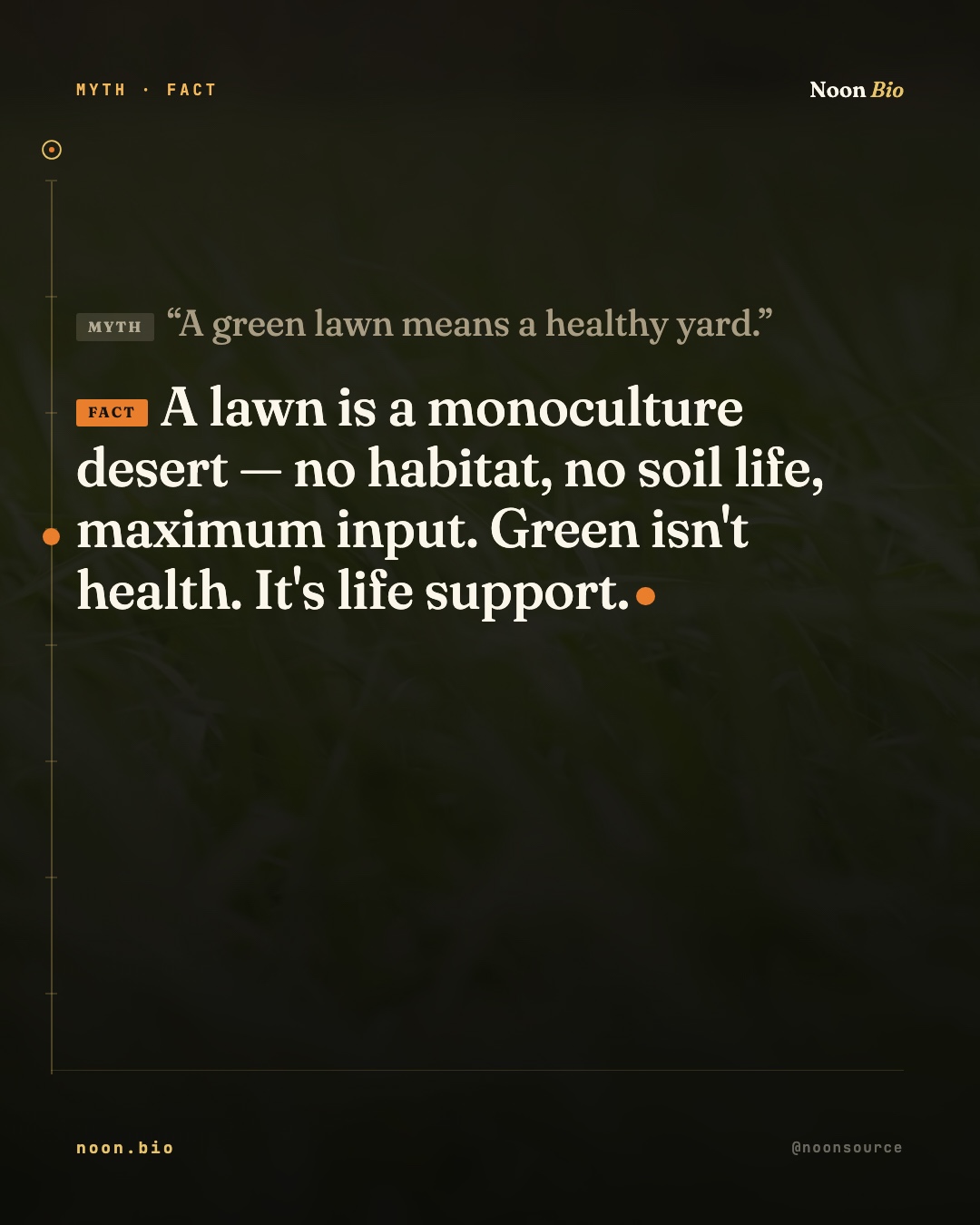 A green lawn means a healthy yard.
