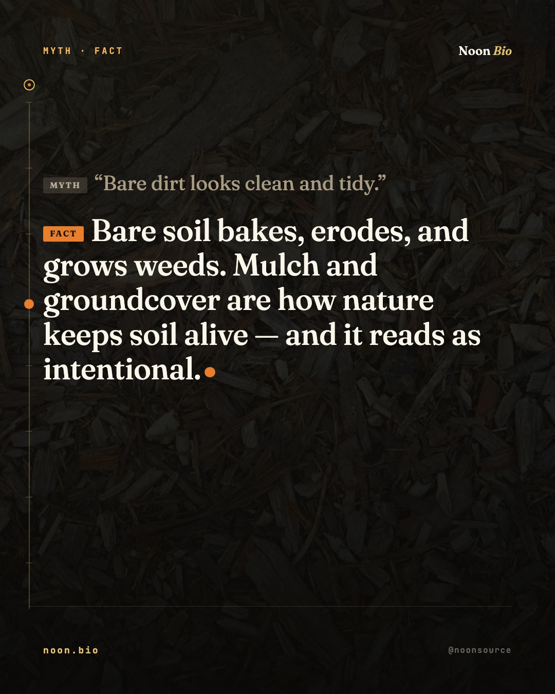 Bare dirt looks clean and tidy.