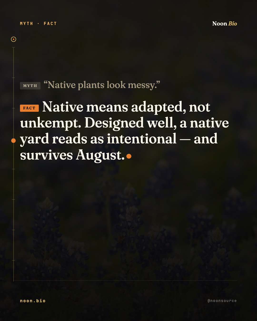 Native plants look messy.