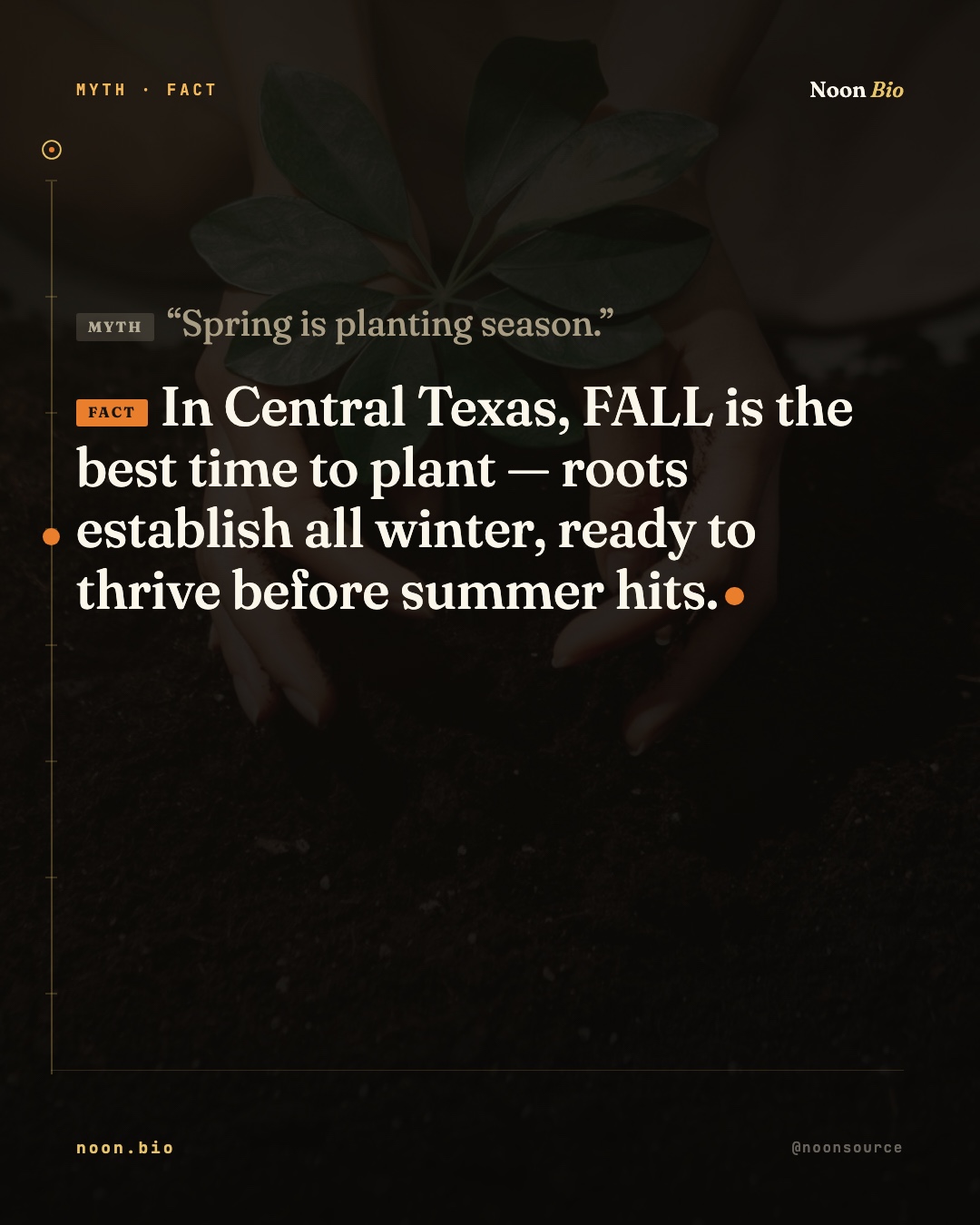Spring is planting season.