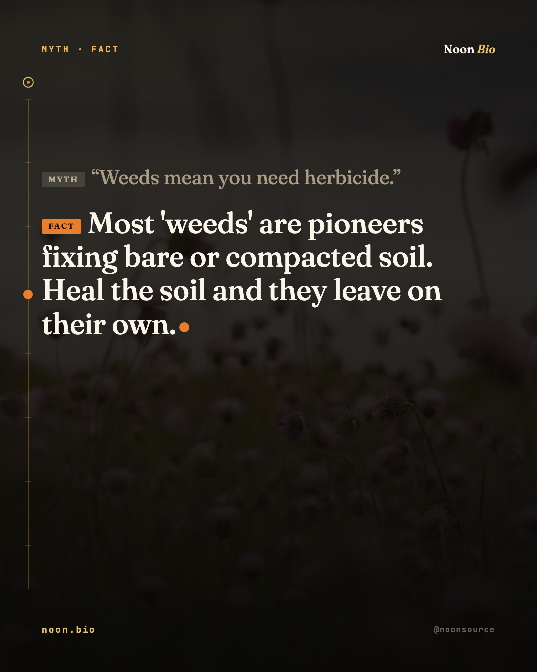 Weeds mean you need herbicide.
