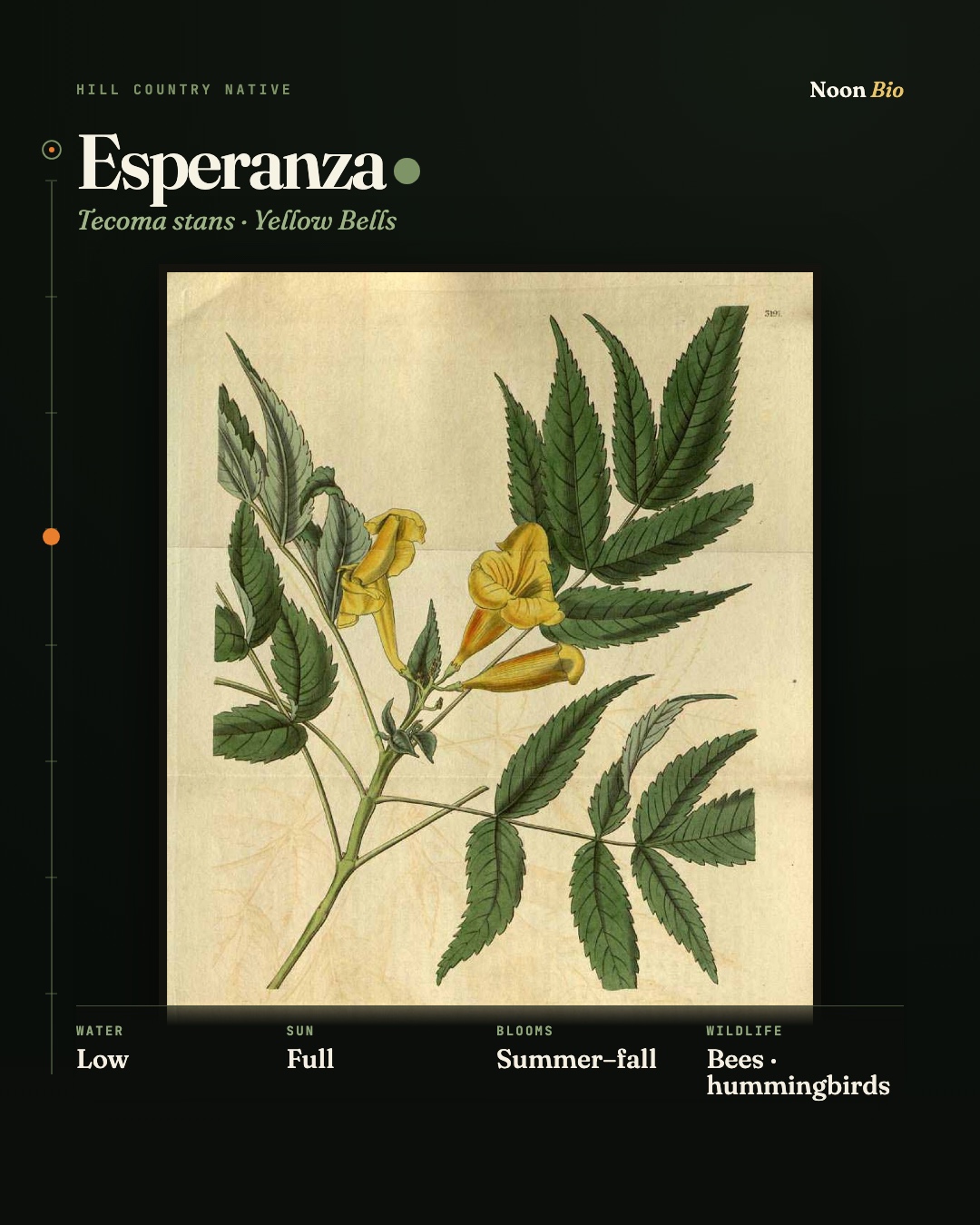 Esperanza