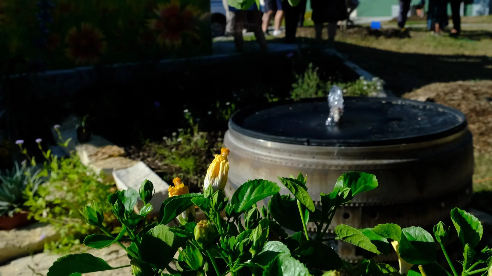 A fountain running beside planted beds.