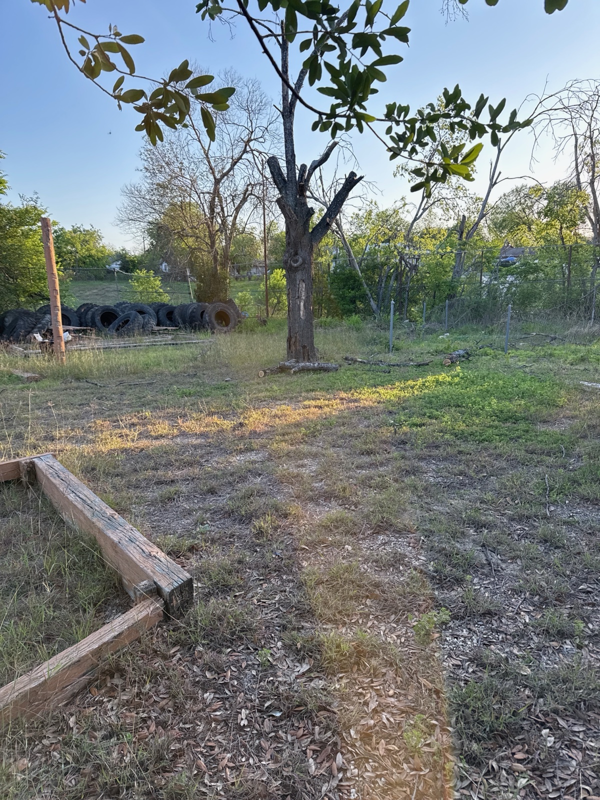 The derelict back lot — stacked old tires, a bare tree, overgrown dead grass.
