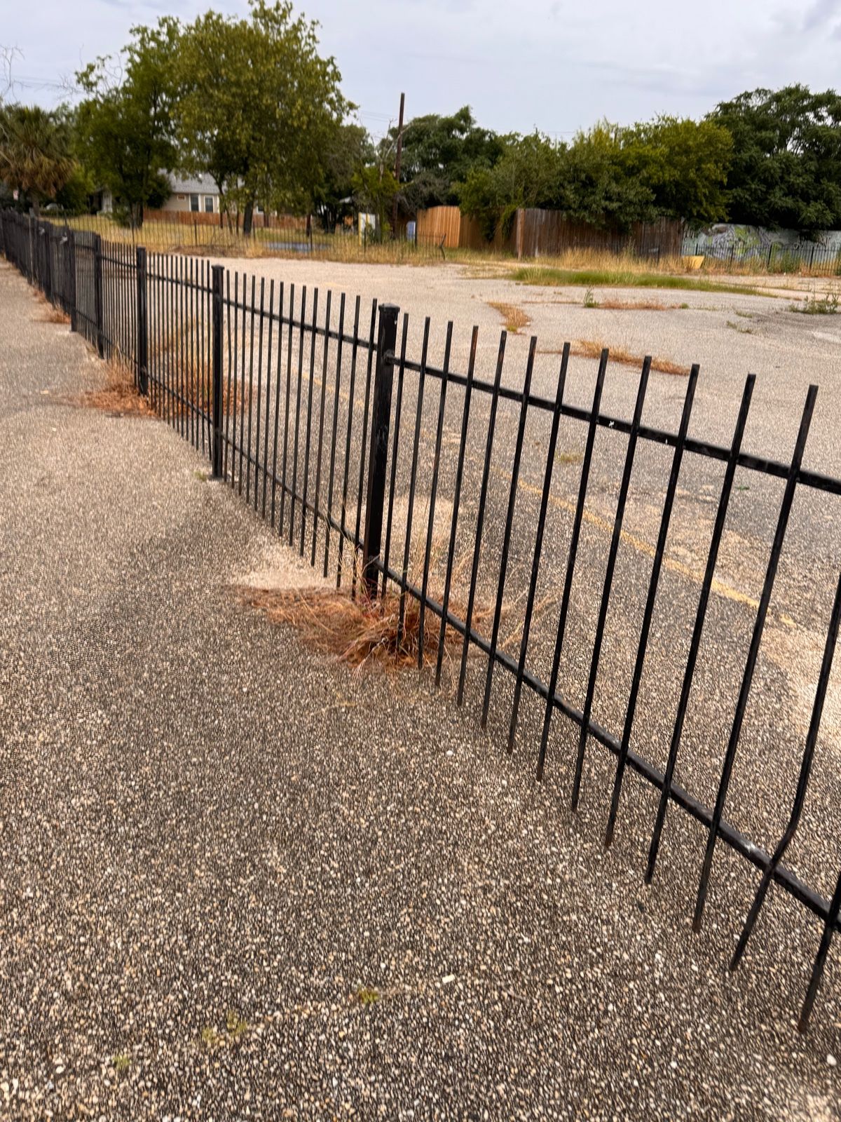 The fenced-off grounds gone to seed — a wrought-iron fence along a cracked, weed-split lot.
