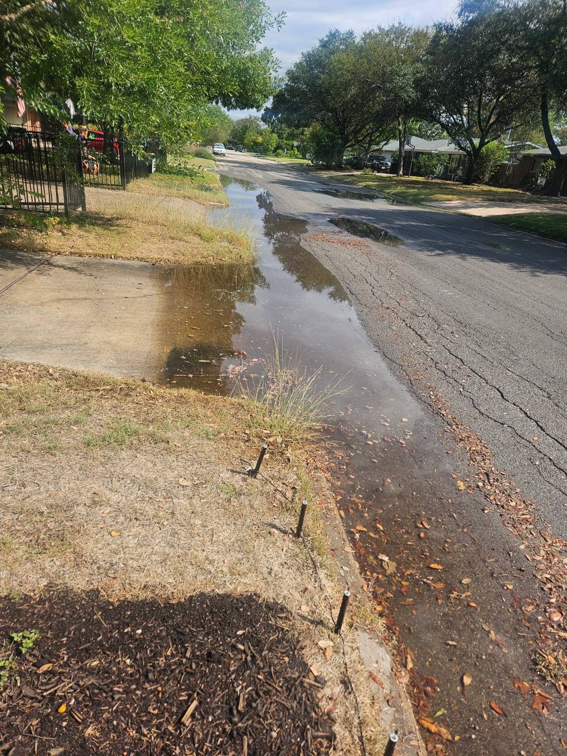 La calle residencial antes de la cuneta — el agua de tormenta encharcada por toda la vía y contra la banqueta, sin a dónde drenar.