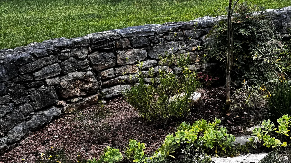 A dry-stone terrace wall with a bed of natives and heritage food planted into caliche.