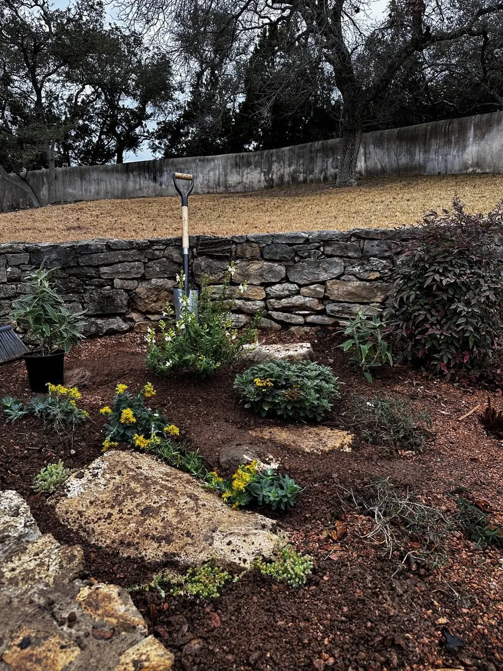 The courtyard garden in full.