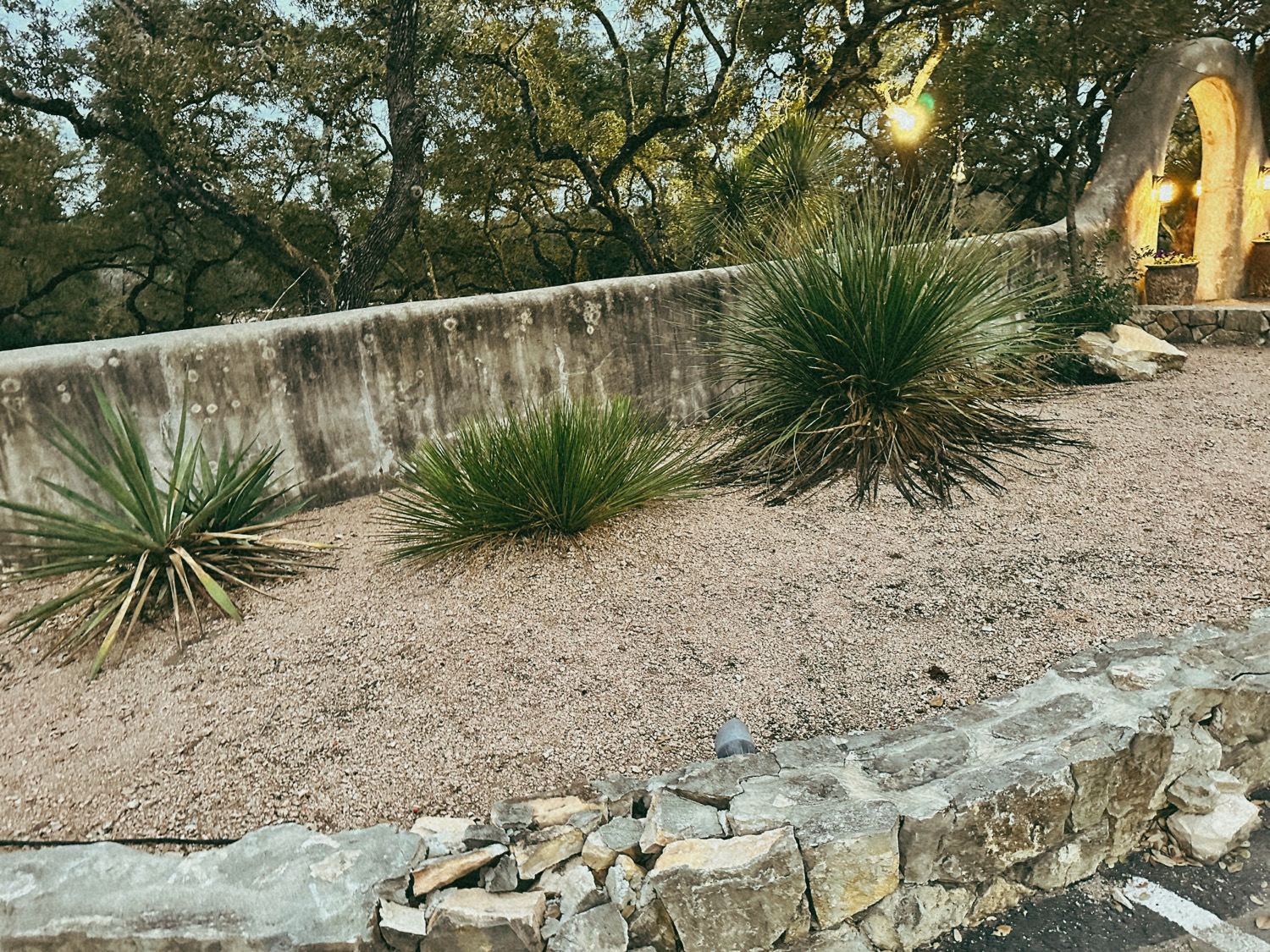 A stone-walled bed of sotol and native plantings along a garden path, a mission arch beyond.