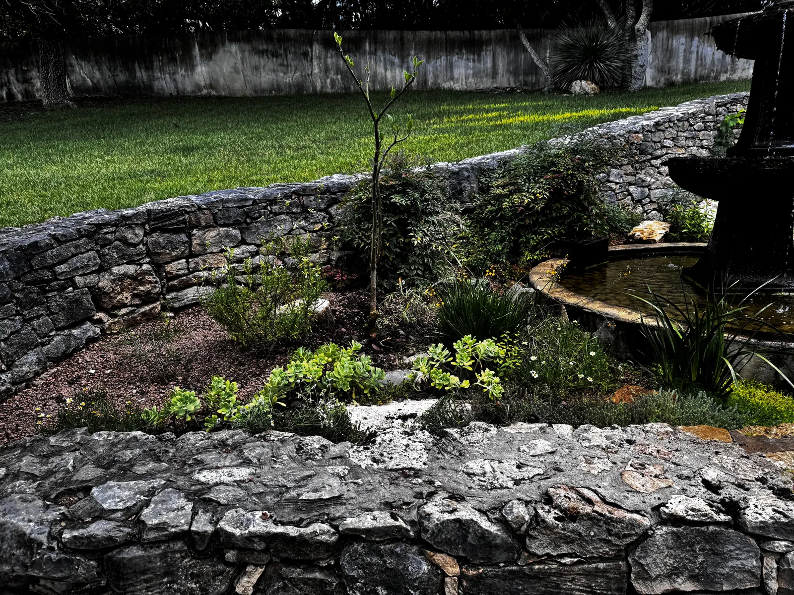 Stone-edged terraces planted in — native perennials and herbs filling the beds against dry-stacked limestone.
