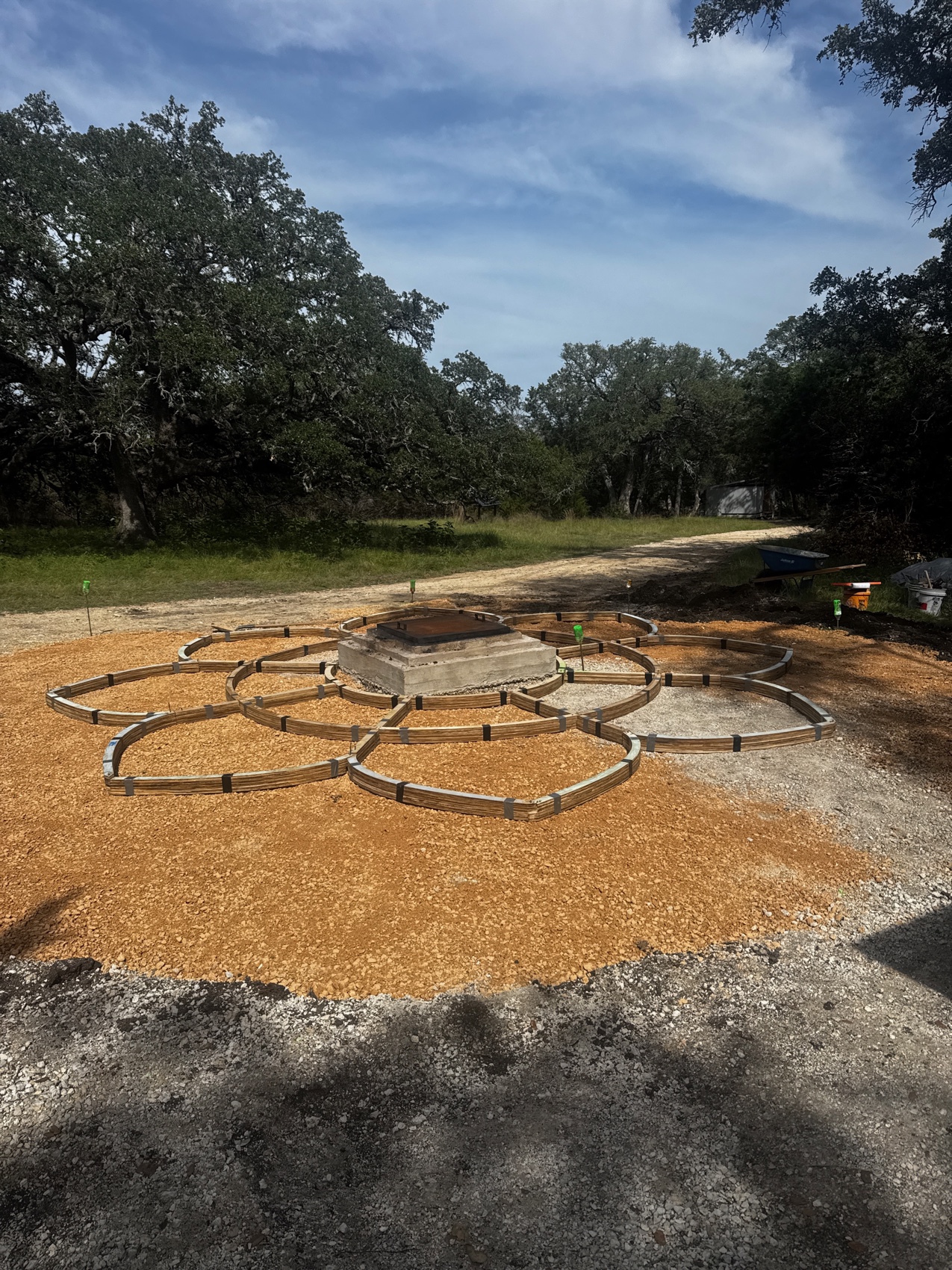 The birch formwork assembled into the lotus mandala on the prepared gravel base, under live oaks.