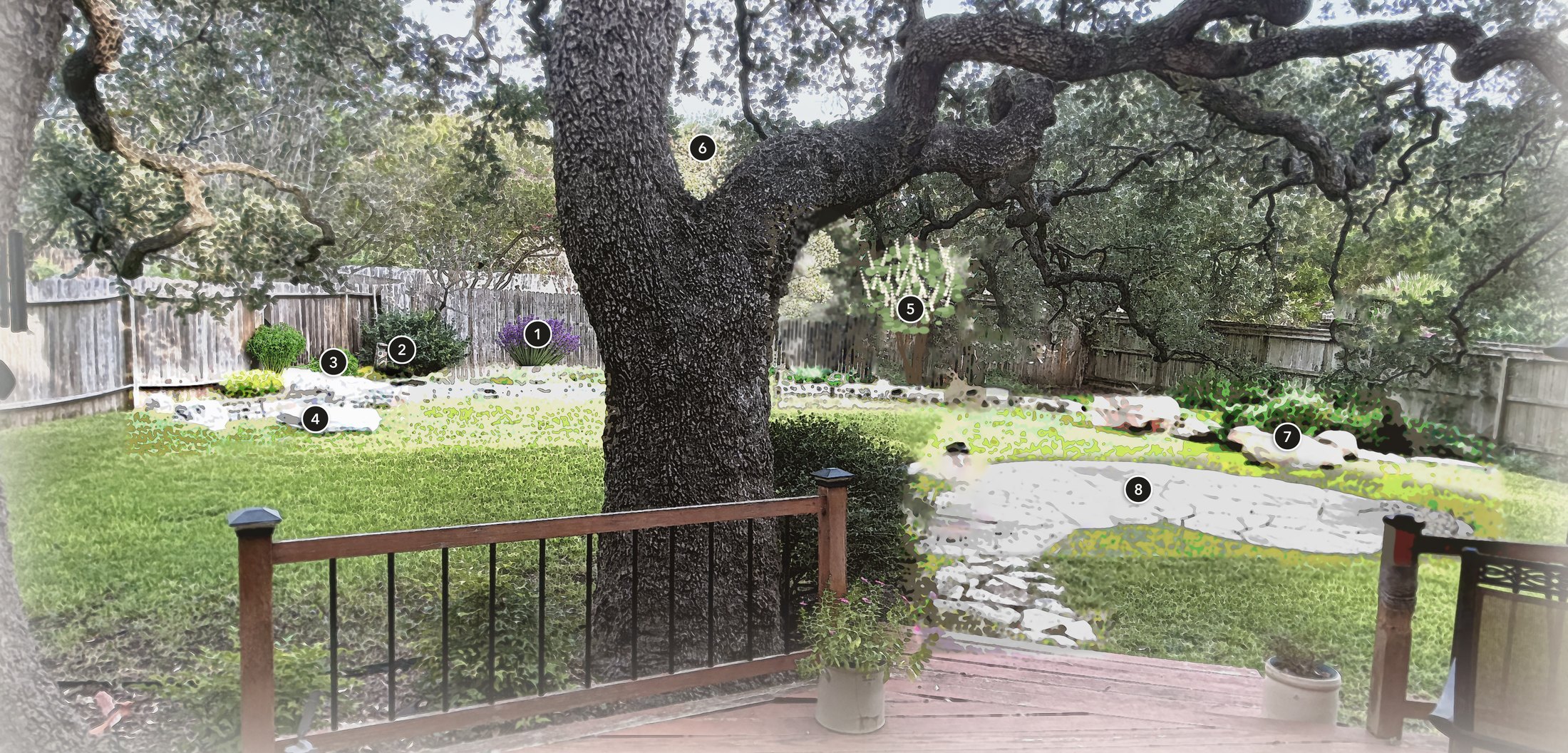Backyard concept plan beneath the live oak: culinary rock bed along the fence, sweet almond verbena and mountain laurel in place of the crape myrtles, limestone boulder seating, and a limestone-overlay patio, keyed 1 to 8.