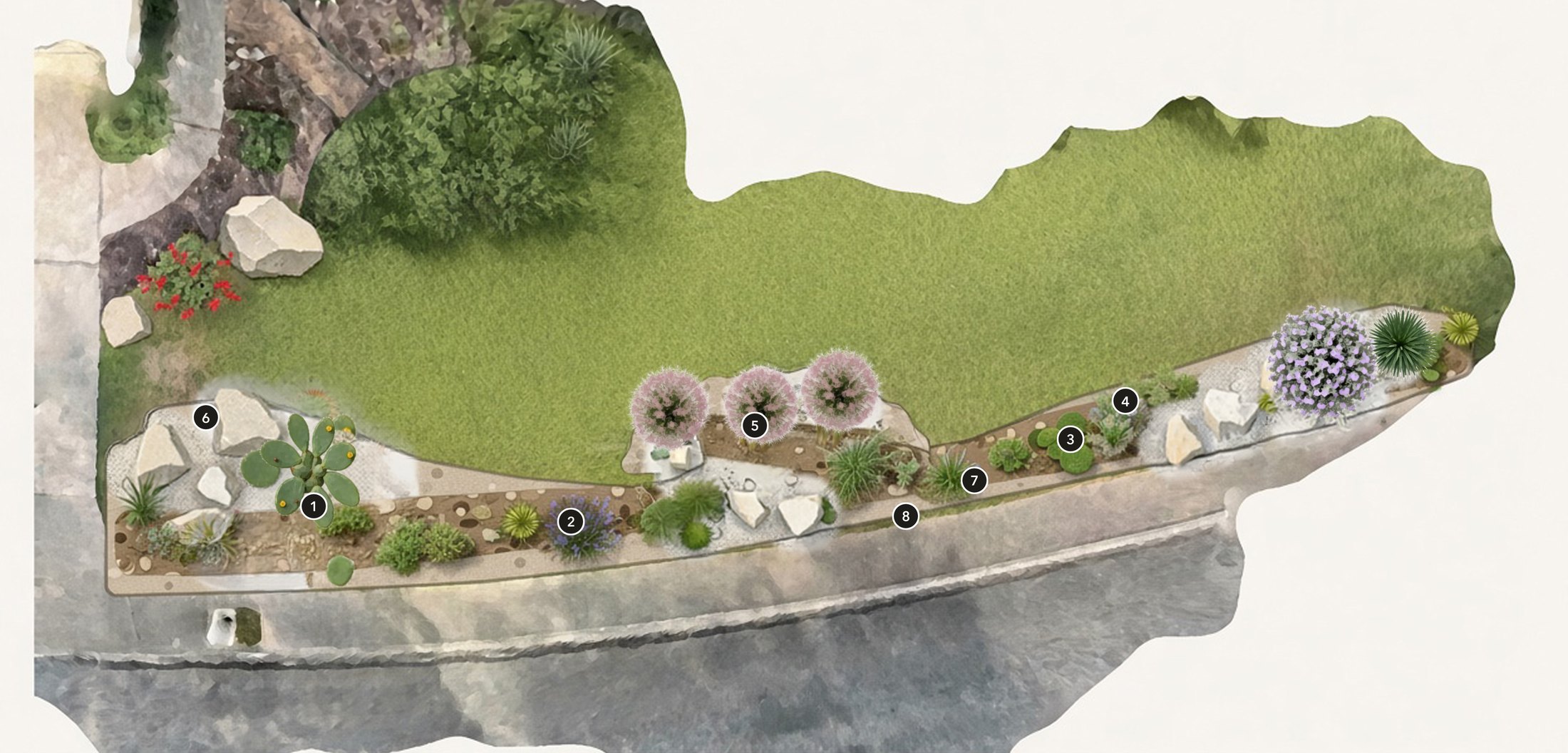 Front yard concept plan: a river-rock dry creek along the walk with cenizo, muhly, prickly pear, skullcap and limestone boulders, keyed 1 to 8.