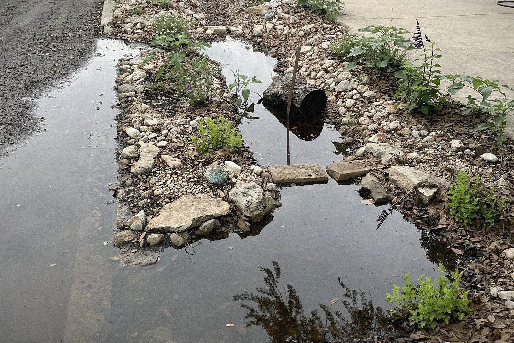 In the storm: the channel takes the street's water and slows it against the rock.
